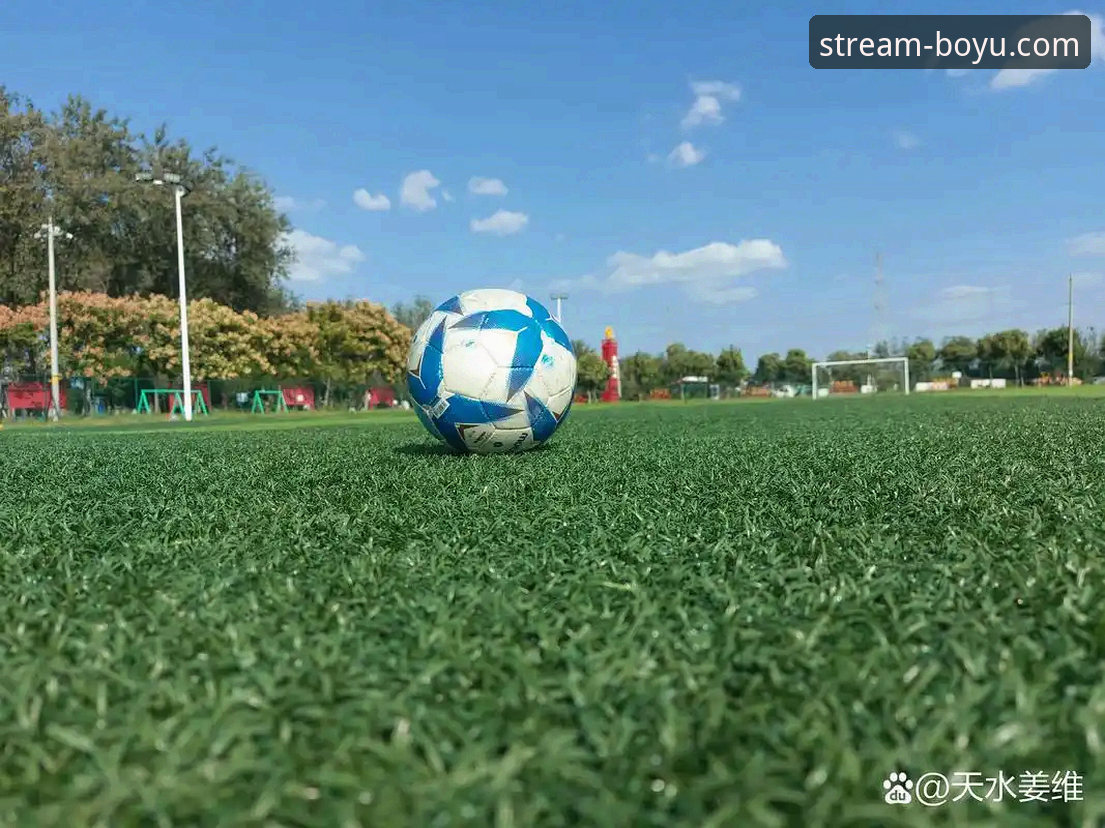 博鱼体育安全吗常见问题 从“金元足球”到法庭审判:一场商业与体育交织的悲剧深度评测